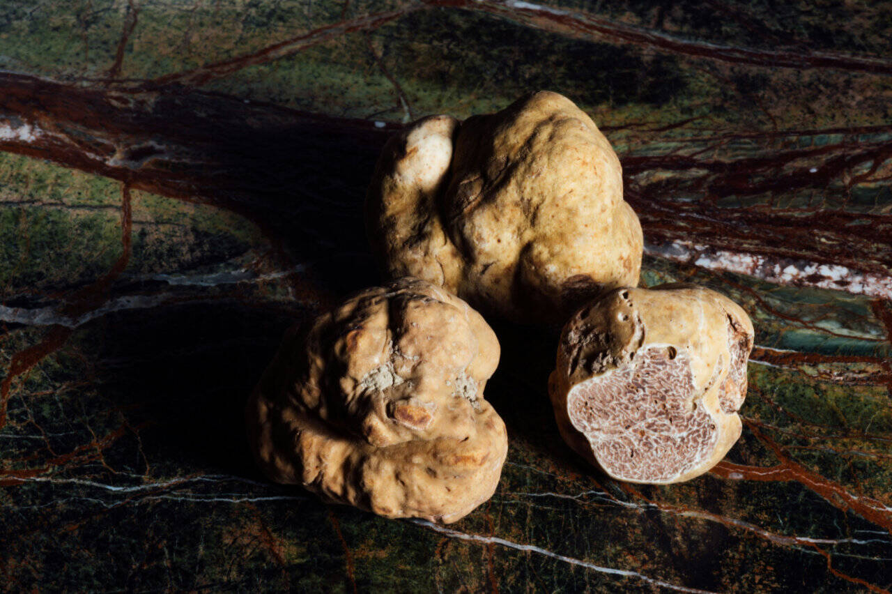 Istrian truffles